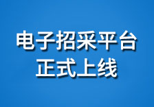 電子采購(gòu)平臺(tái)正式上線